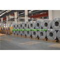 Prime Quality ASTM 316 Edelstahl Coil in preiswerterem Preis